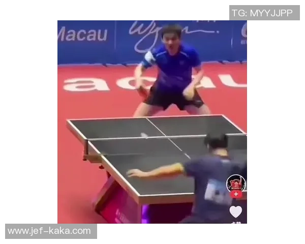 樊振东反手发球引爆全运会吴敬平揭秘德甲训练背后的故事与挑战